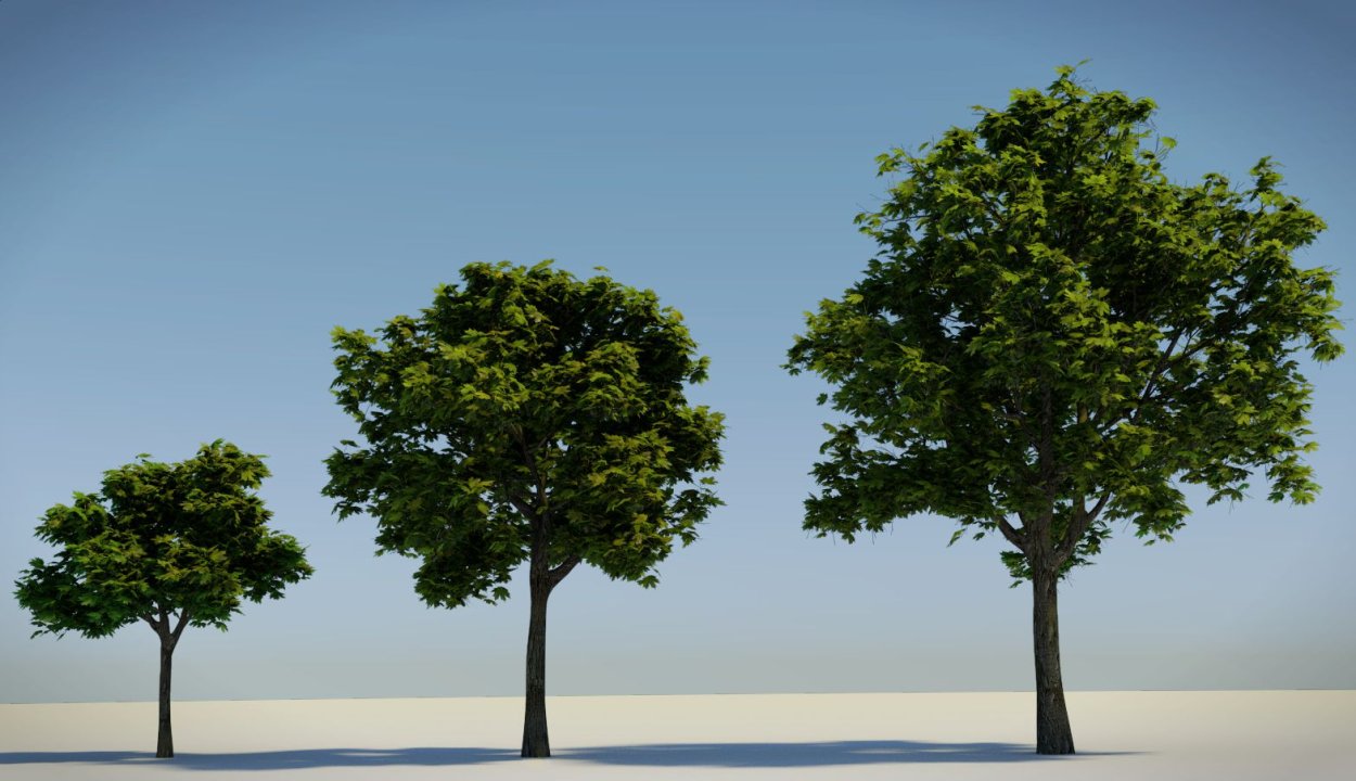 Боскет деревья