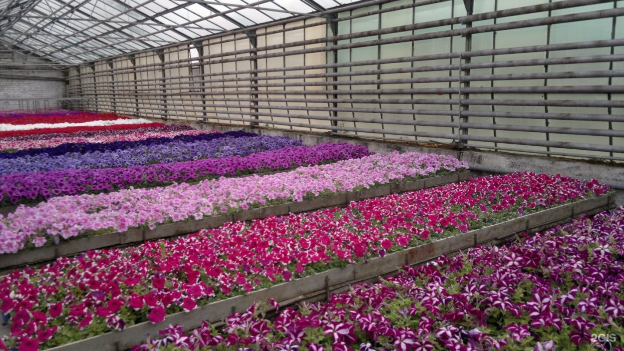 Коттеджный поселок цветы Башкирии Уфа