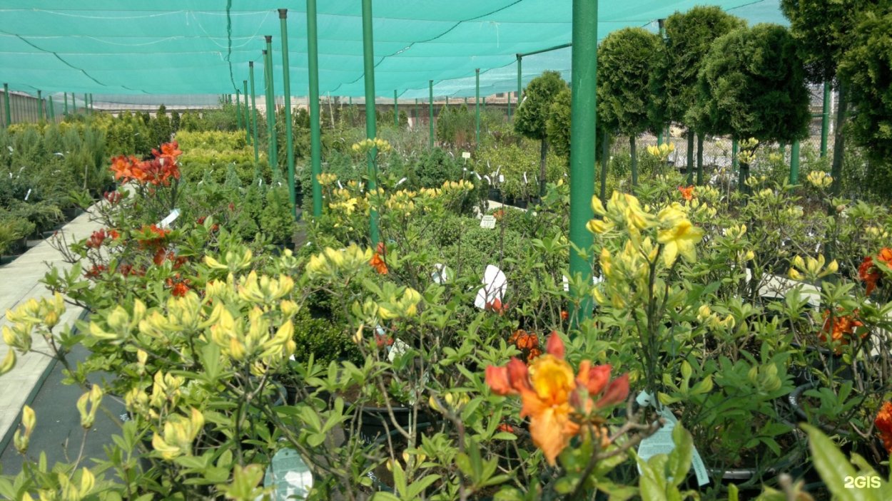 Благоустройство ЖК цветы Башкирии