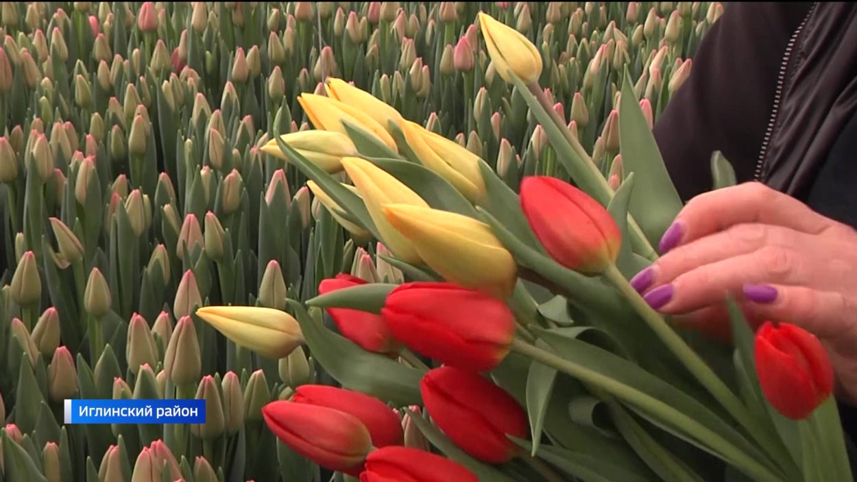 КП цветы Башкирии