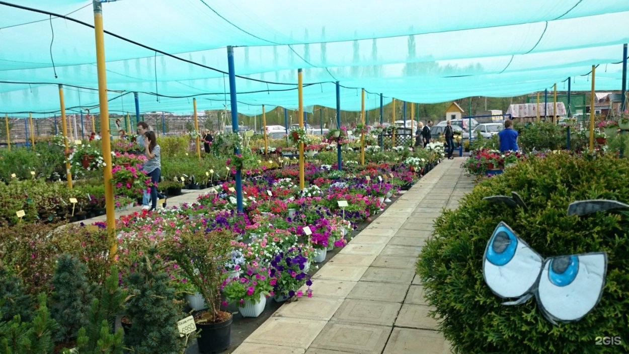 ЖК "цветы Башкирии" литер 1 на карте