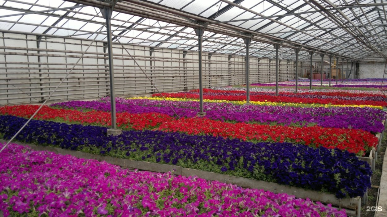 Гостевые дома цветы Башкирии