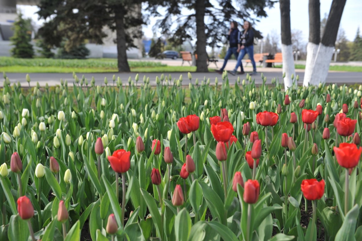 Цветы Башкирии логотип ЖК
