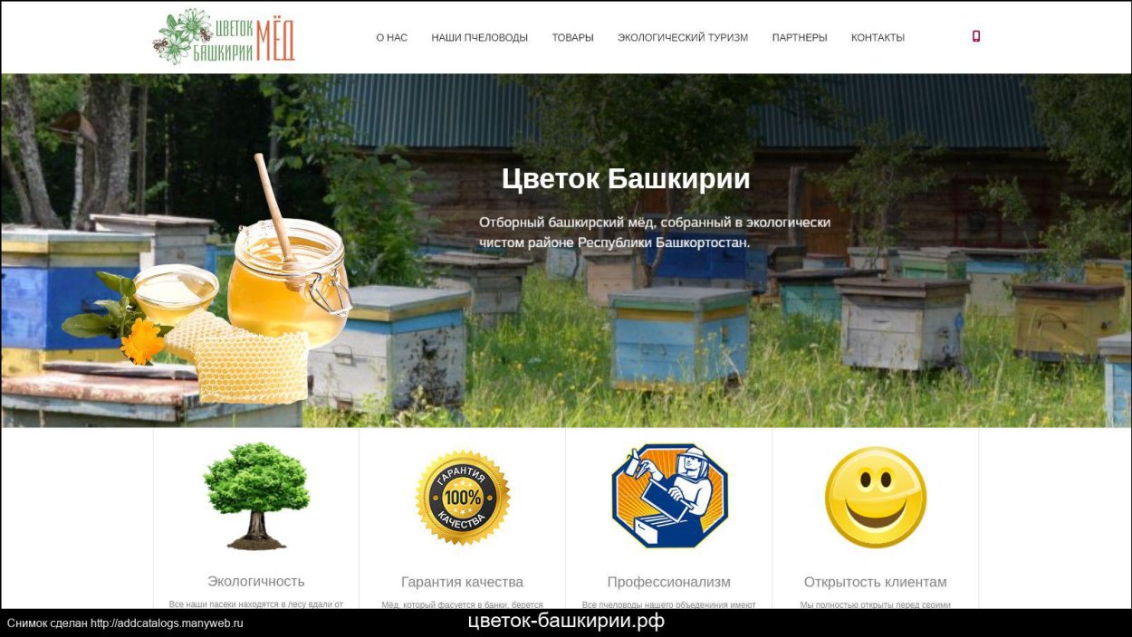 Цветы для городских клумб