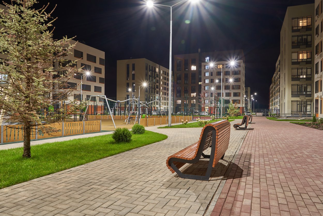 Цветы Башкирии растения