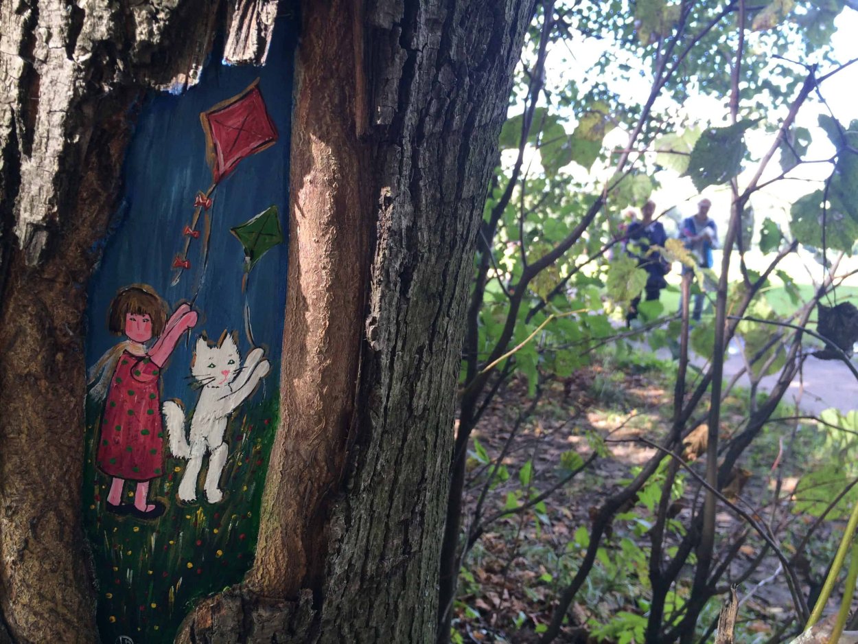 Сосны снизу вверх