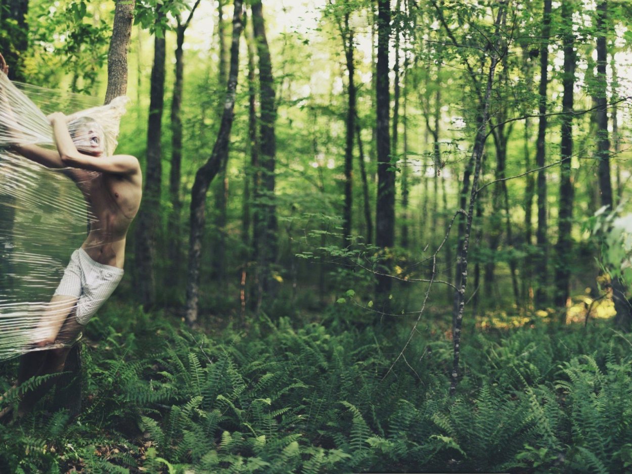 Лес концепт