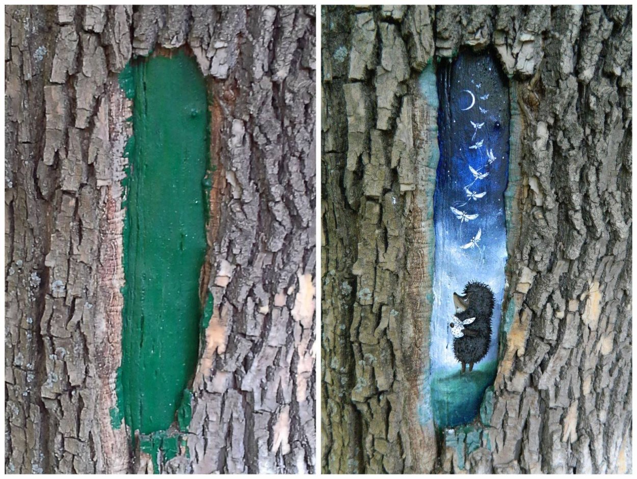 Черные ветви деревьев