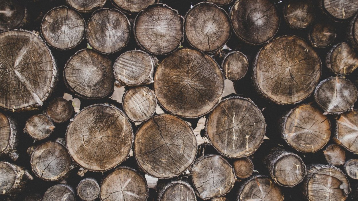 Кора дерева паттерн