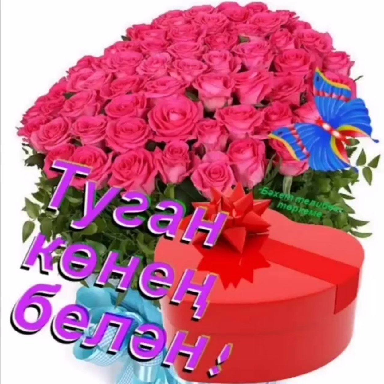 Антирринум Коста Роуз