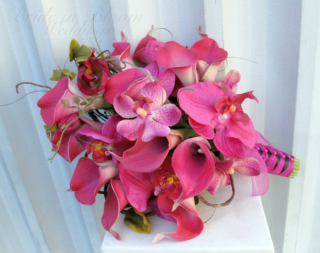 Катя боти Инстаграм