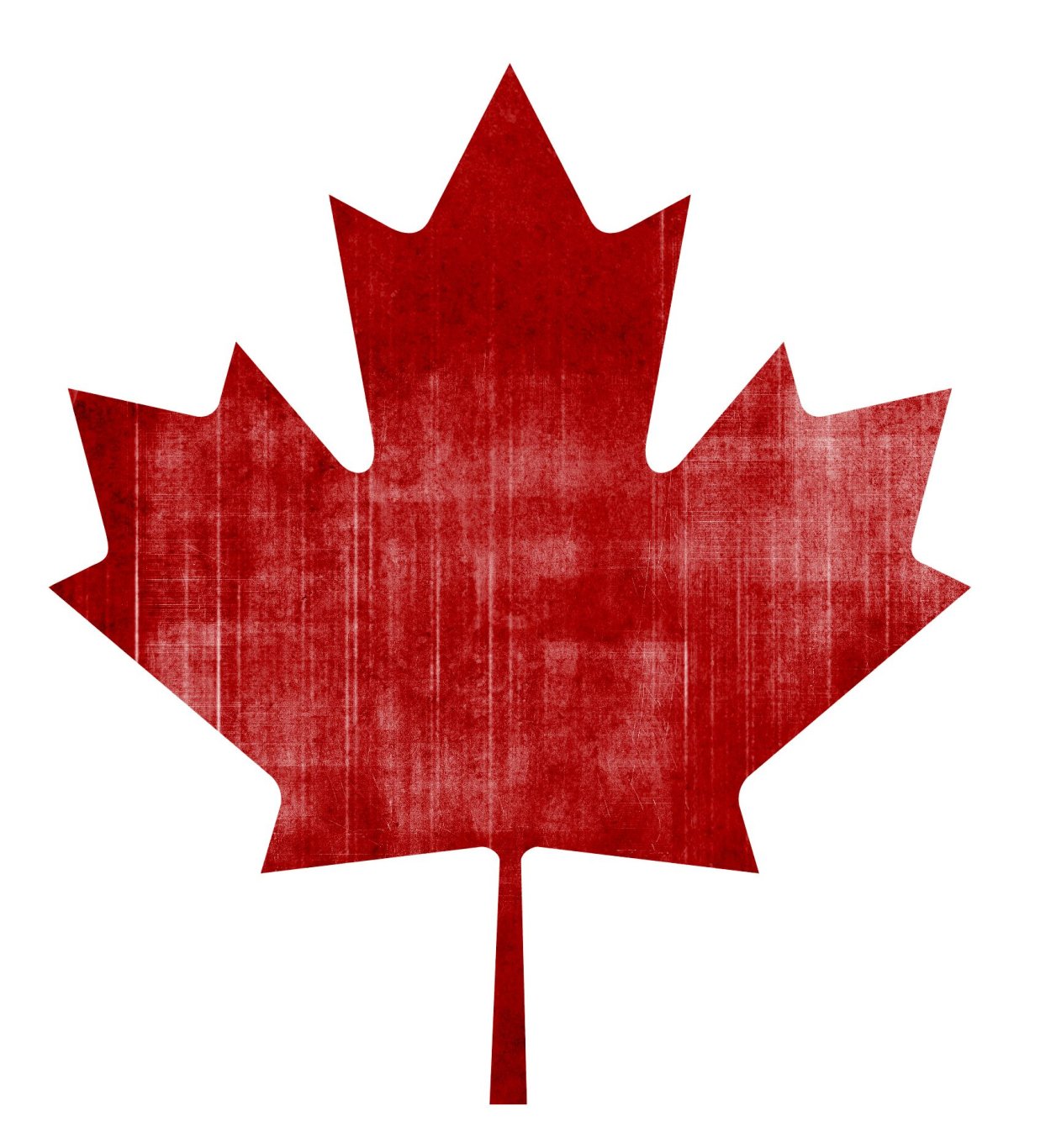 Клен остролистный красный