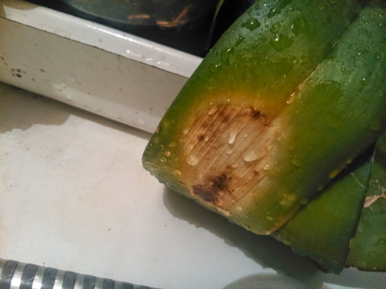 Липкие пятна на листьях орхидеи