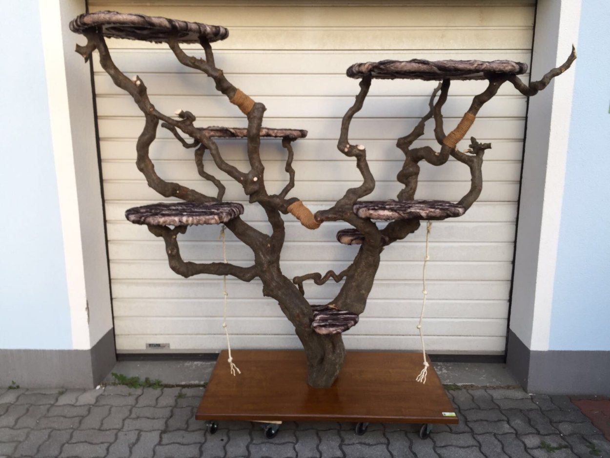 Антураж деревья архитектурная Графика акварель