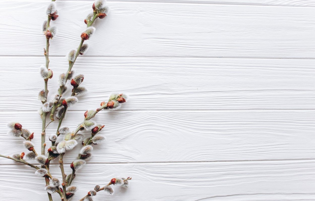 Самолет PZL-104 Wilga