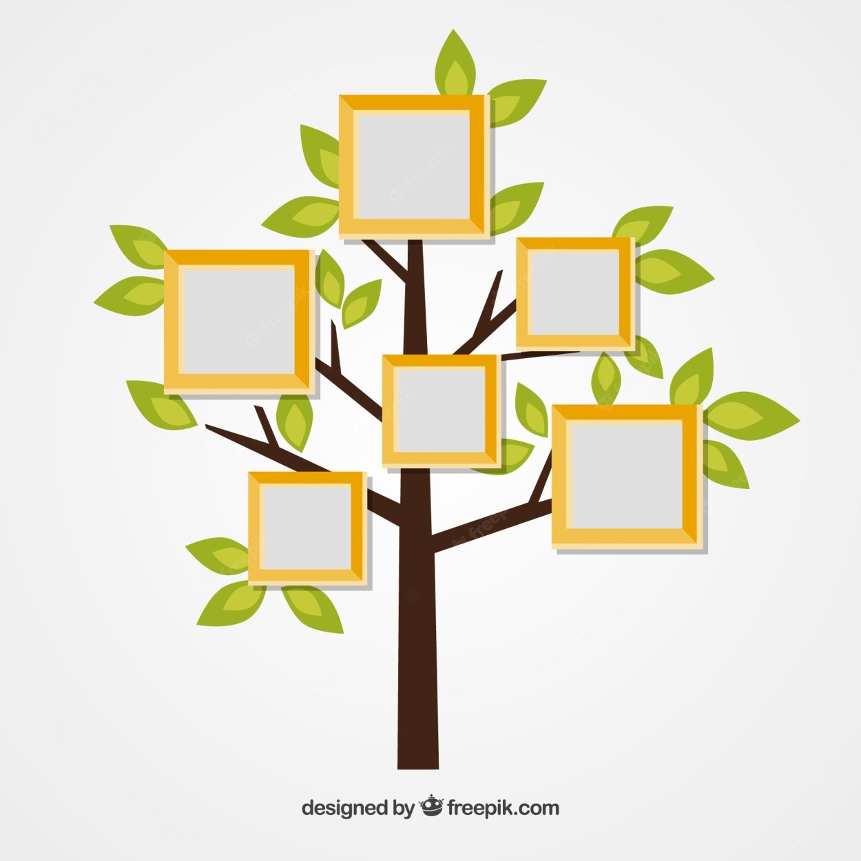 Эвкалипт малоцветковый Австралия