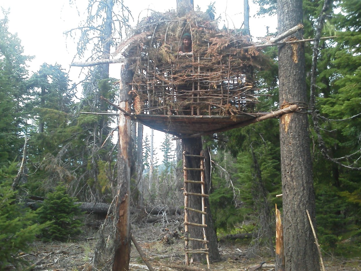 Австралия и Океания природа