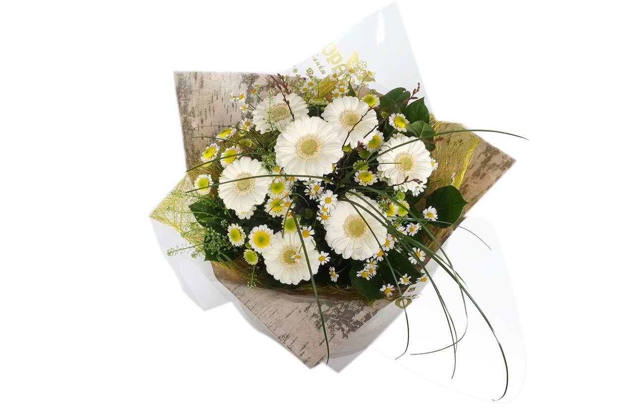 Freesia фрезия роза