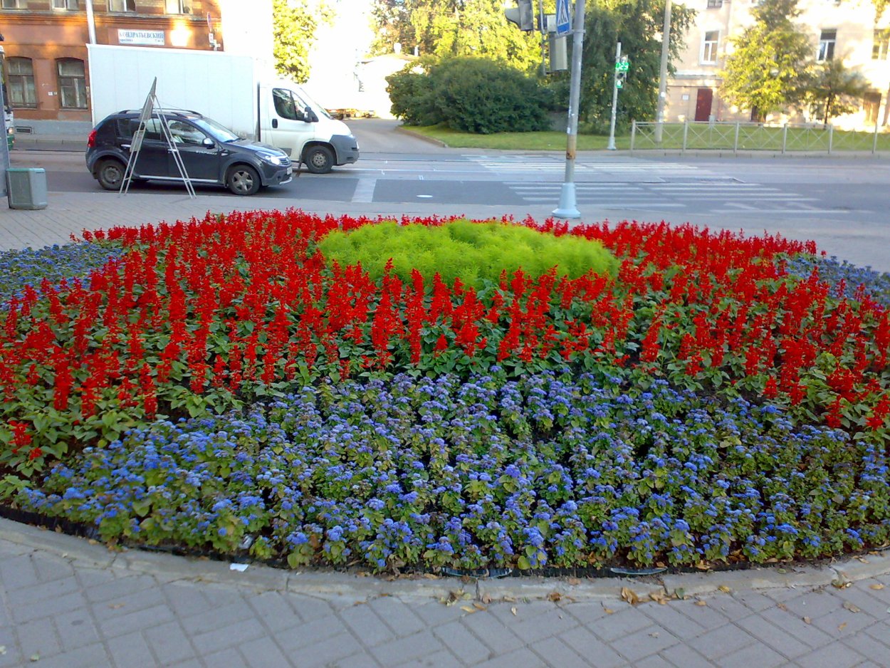 Рокарий бузульник, Хоста, астильба, гейхера, Очиток, примула