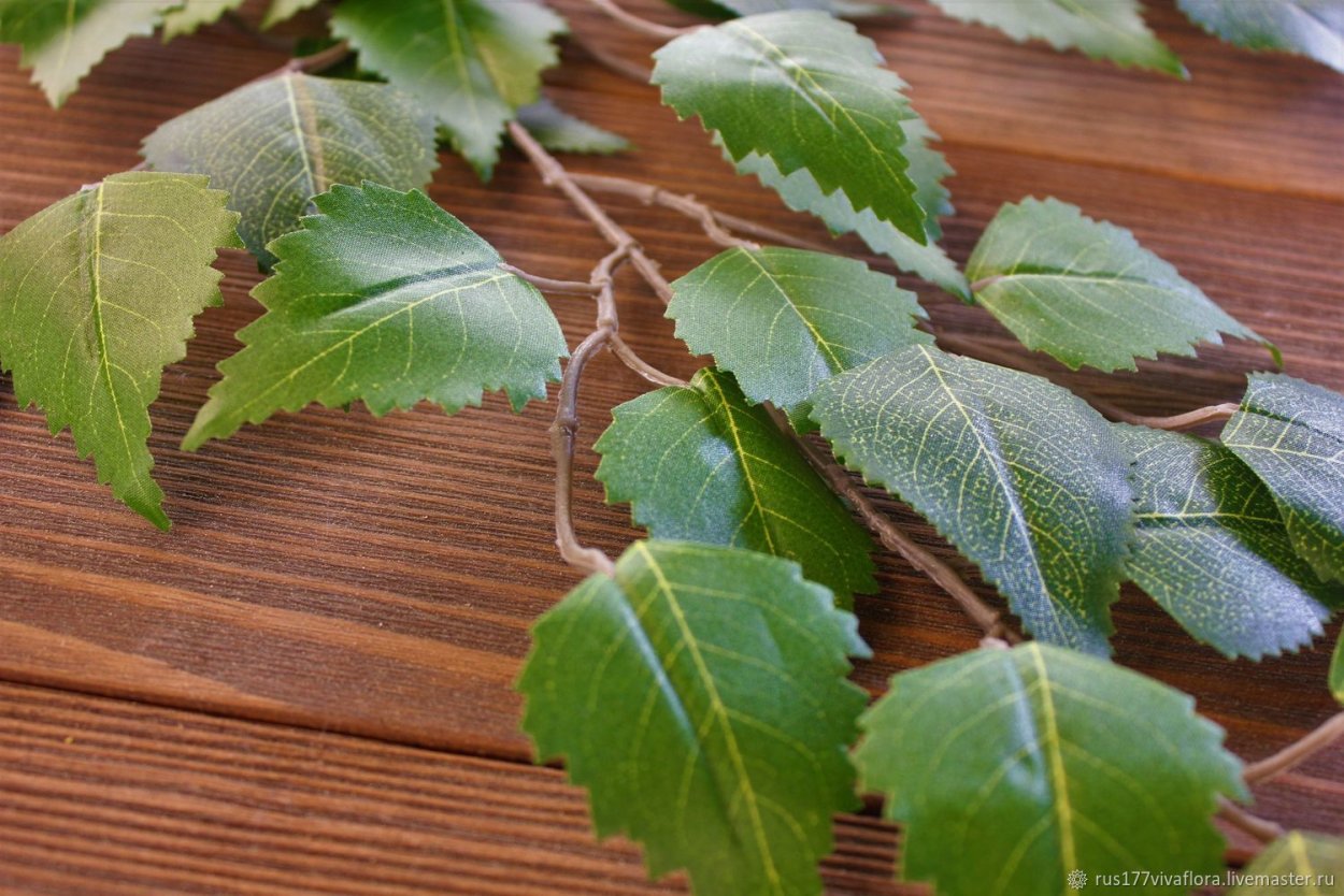 Искусственная ветка березы