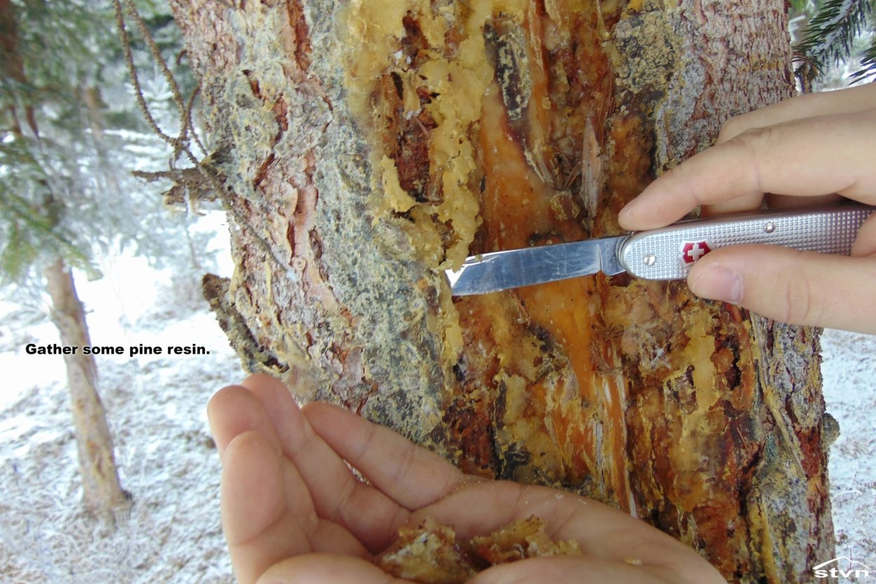 *Солонка деревянная бук 2470865