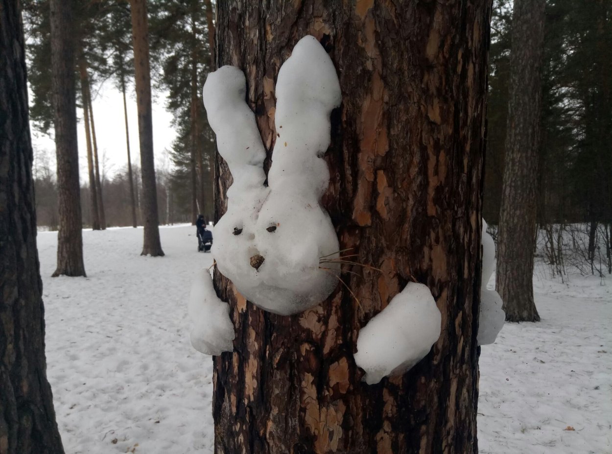 Хакасы бортничество