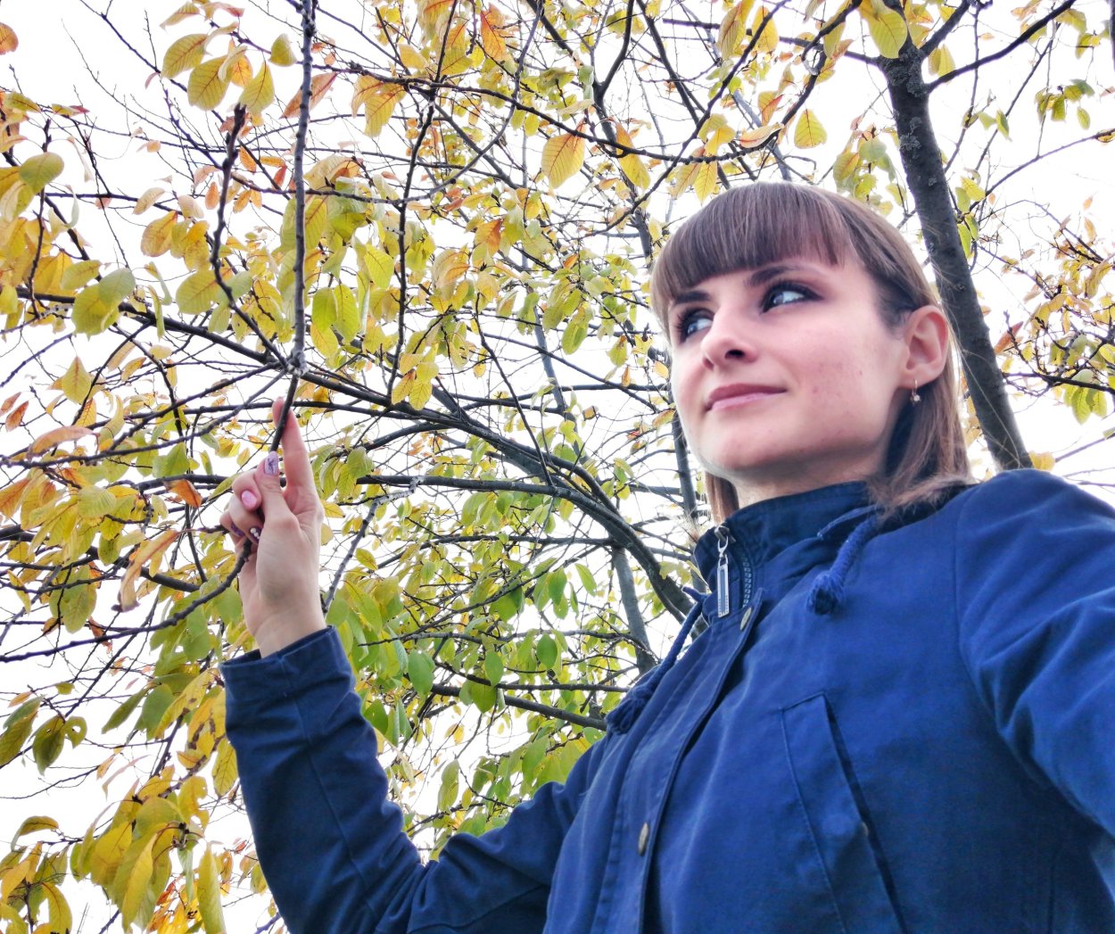 Съедобные грибы маслята