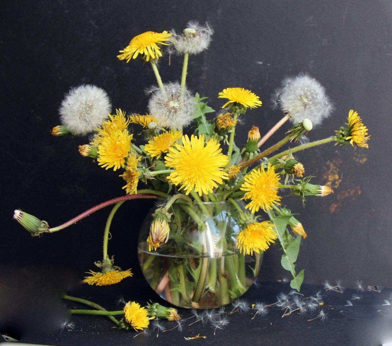 Клод Моне одуванчики