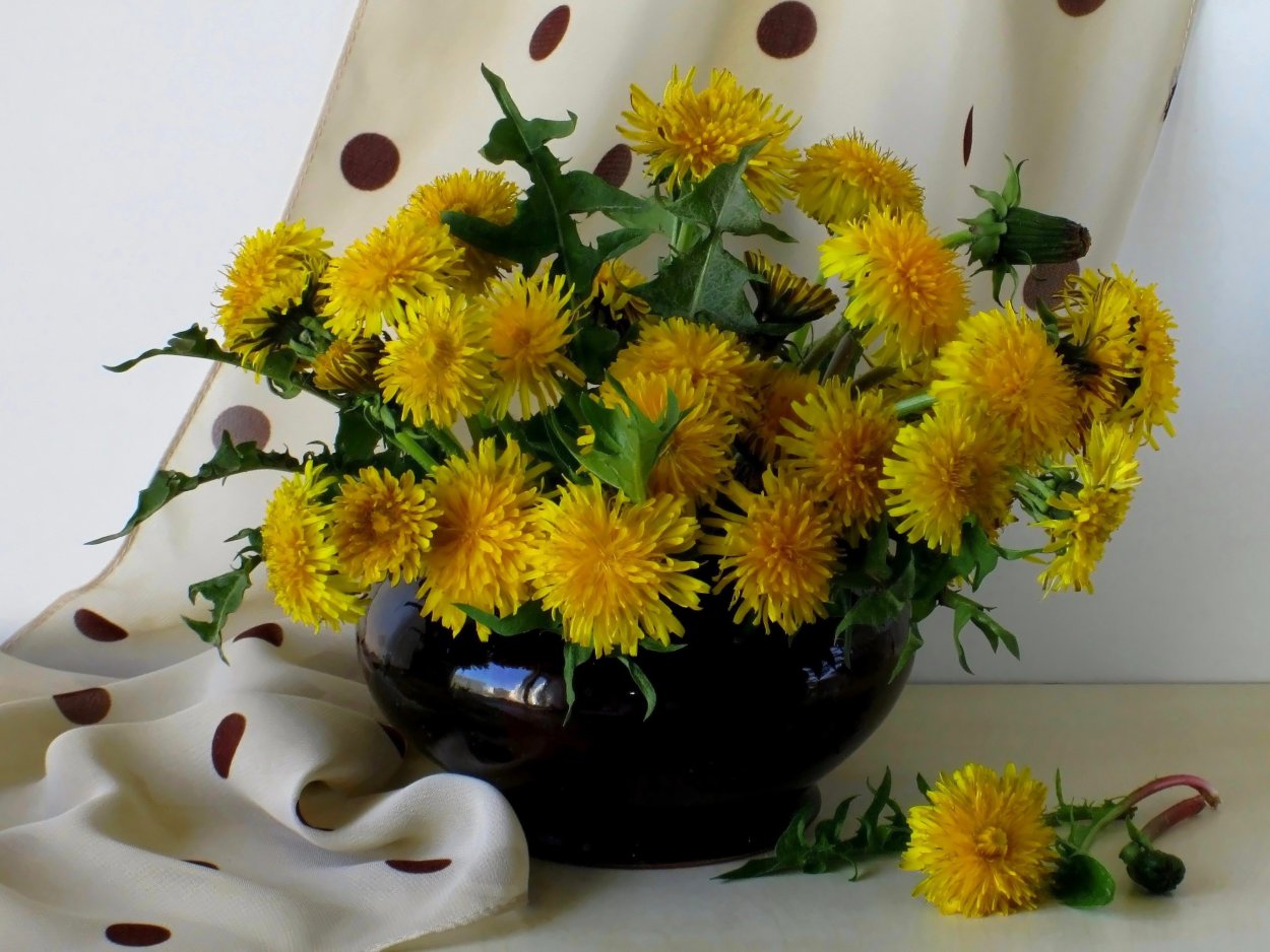 Букетик одуванчиков