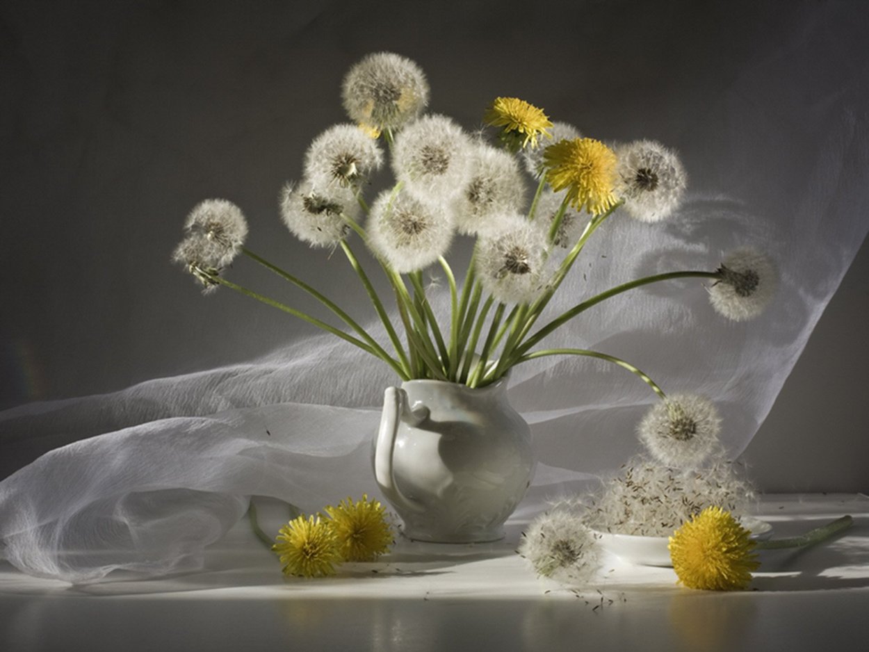 Константин Бальмонт седой одуванчик