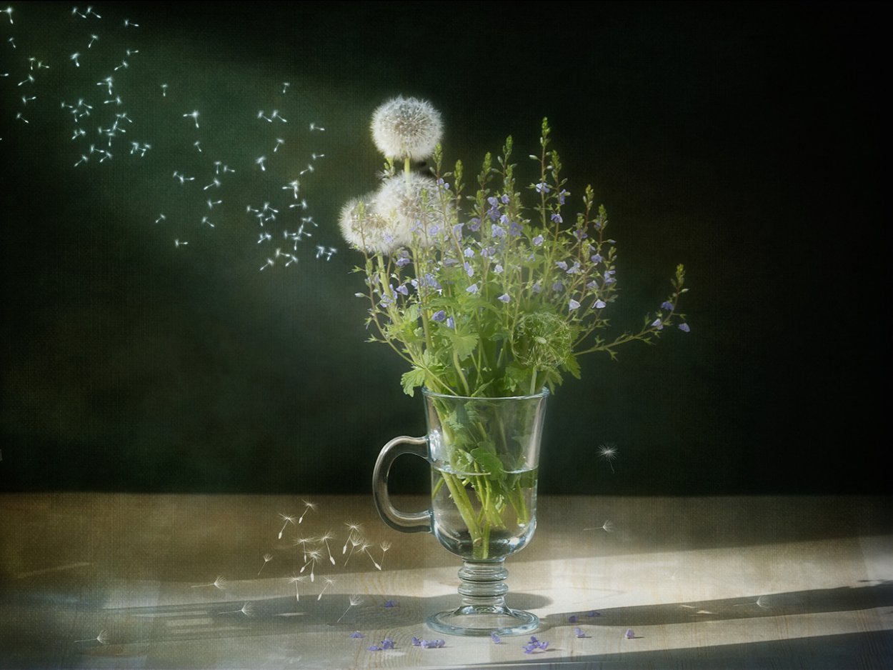 Одуванчики в вазе