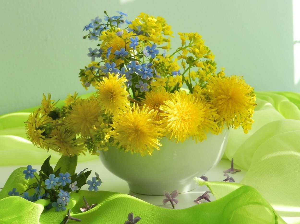 Открытки с одуванчиками