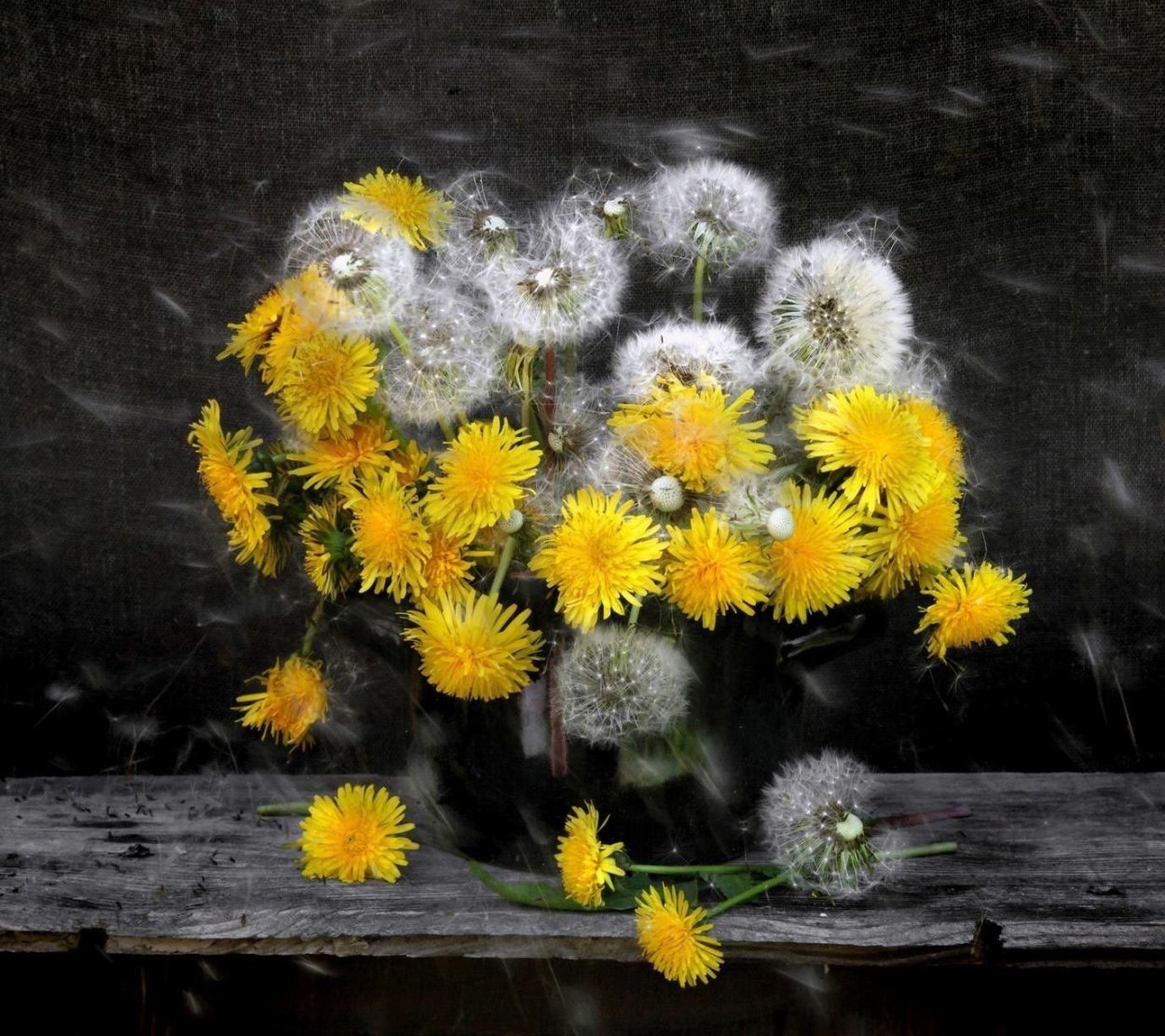 Букетик одуванчиков