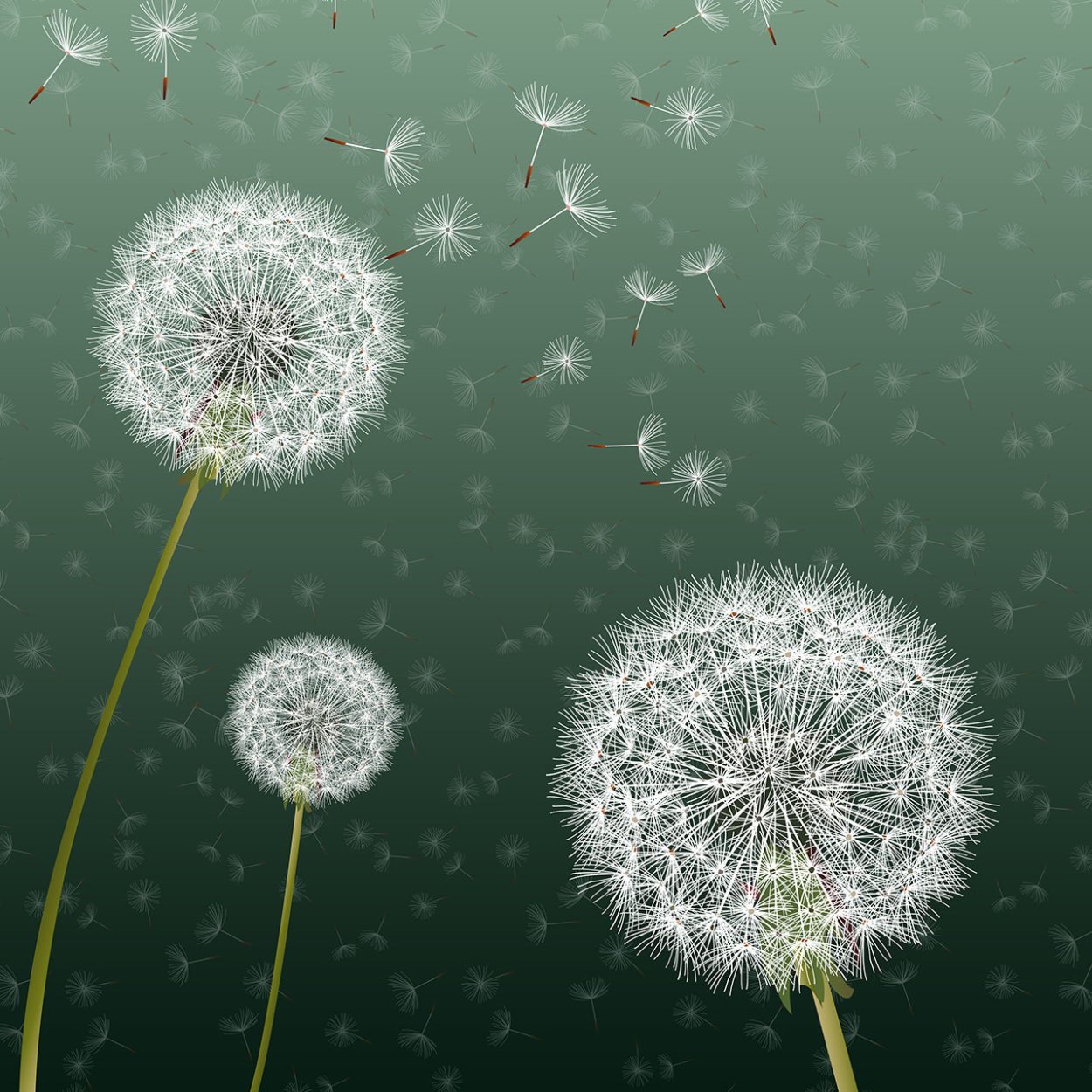 Букетик одуванчиков