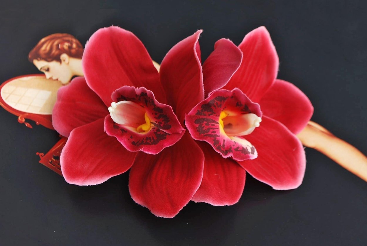 Орхидея Tigris