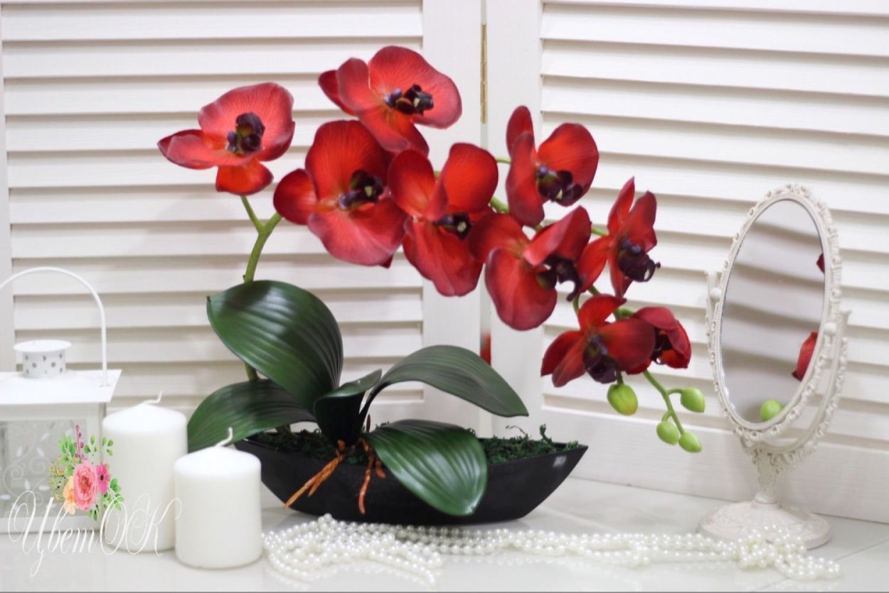 Орхидеи в каплях