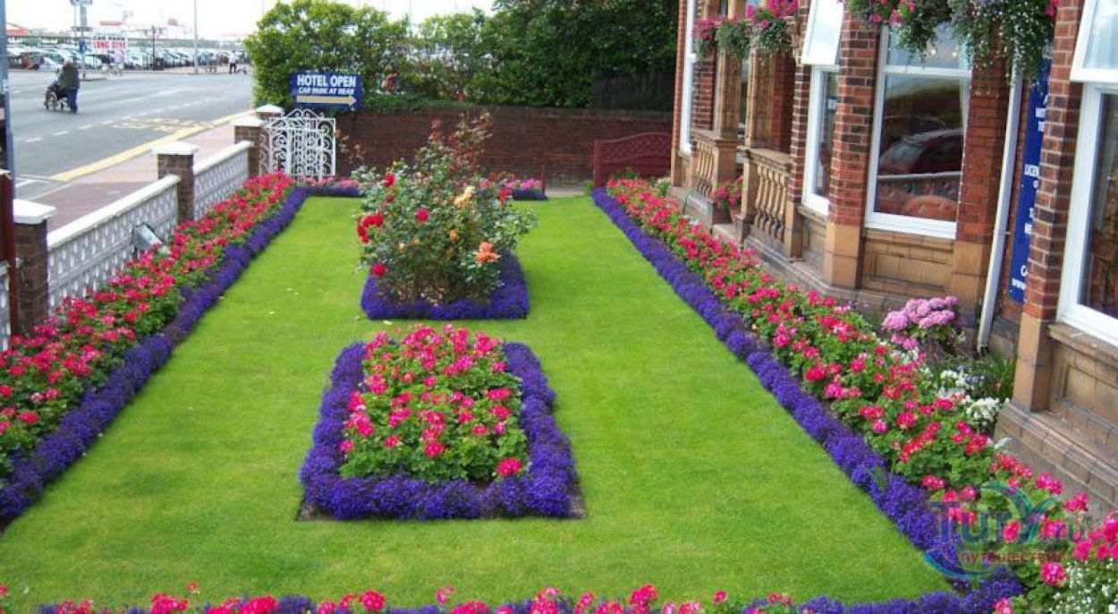 Агератум и бархатцы