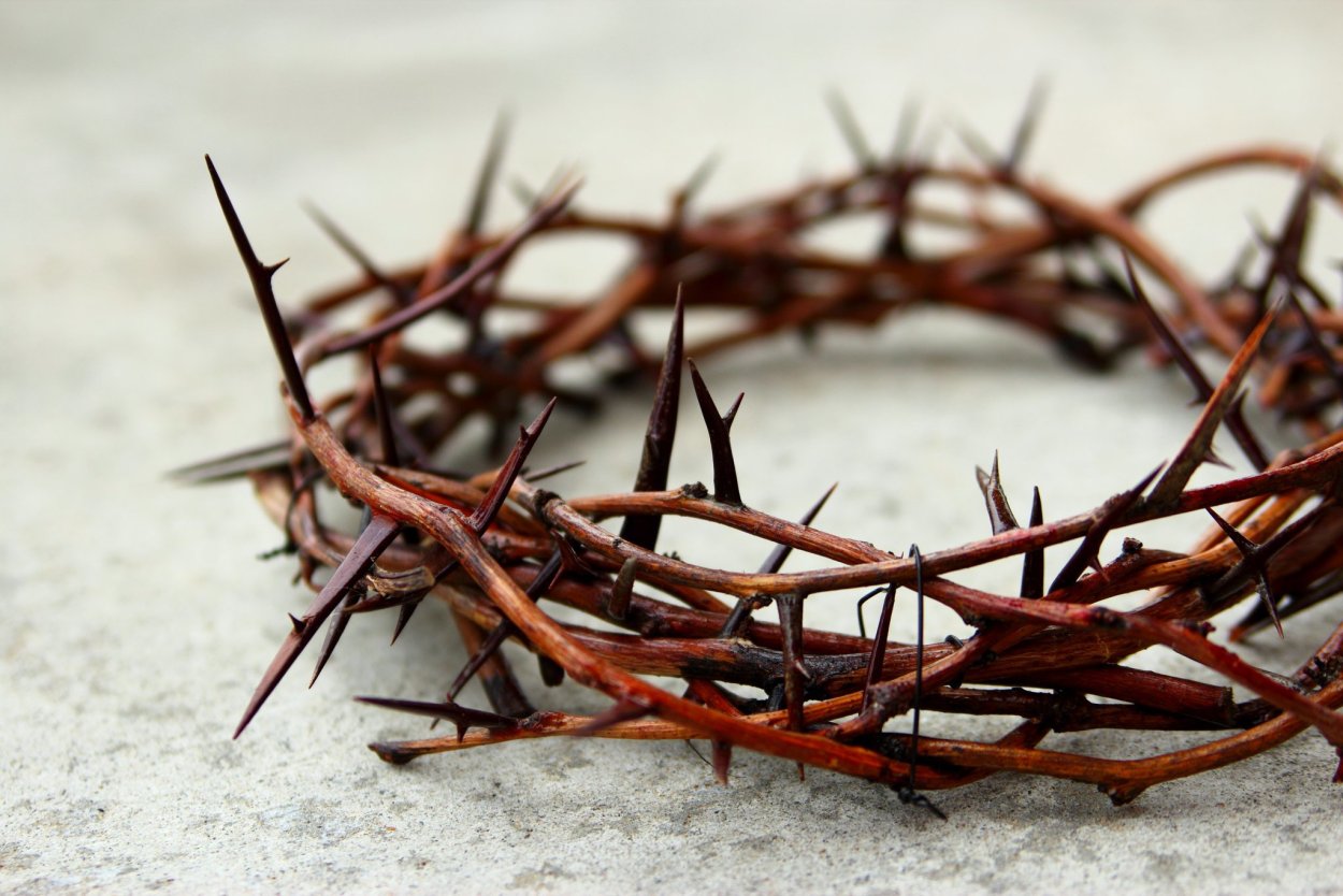 Конский каштан листья