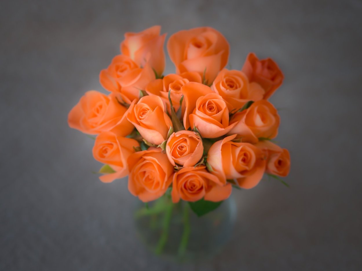 Мелкие оранжевые розочки