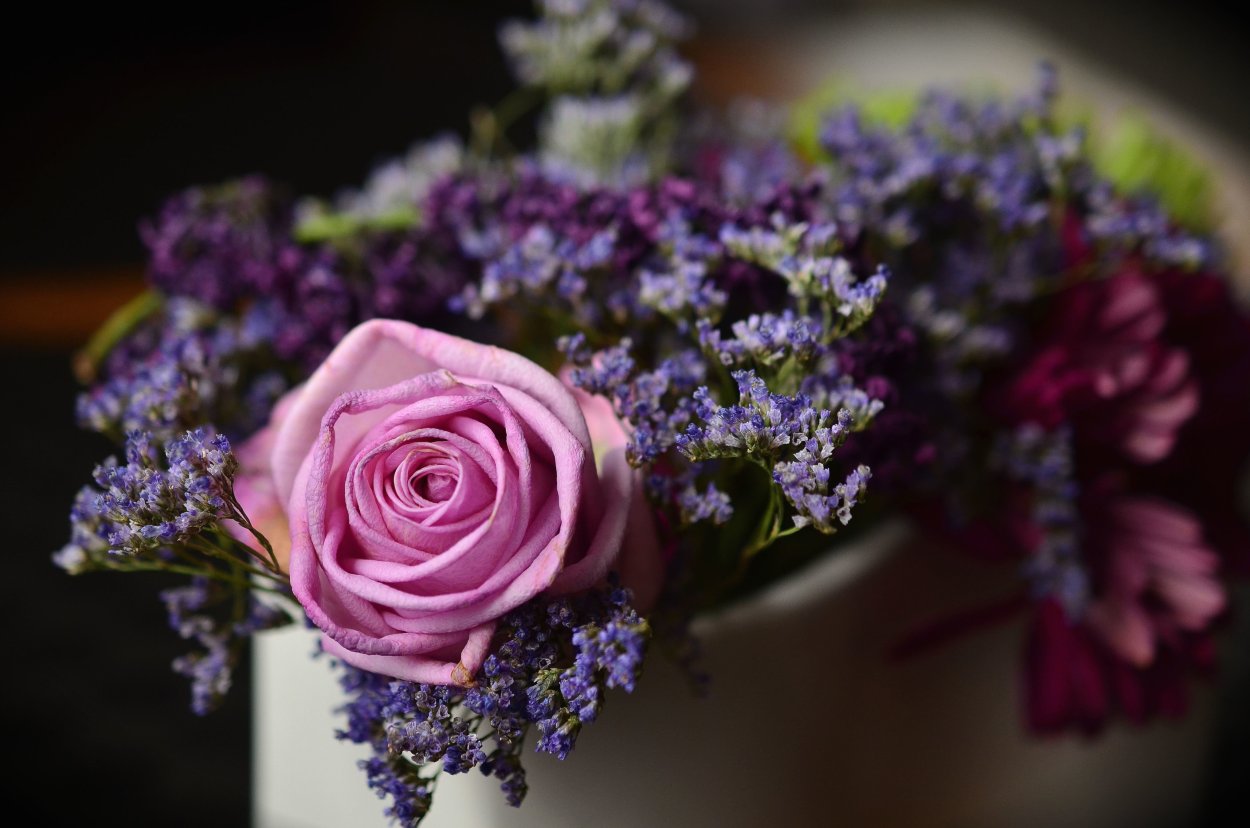 Фиолетовые розы