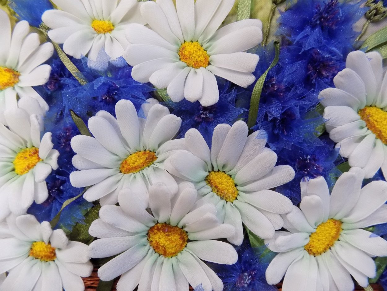 Ромашки и васильки