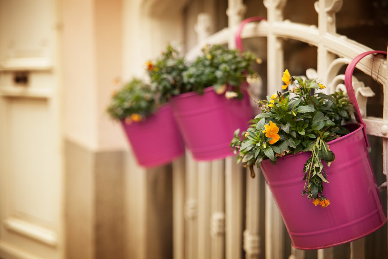 Цветочный горшок с цветами