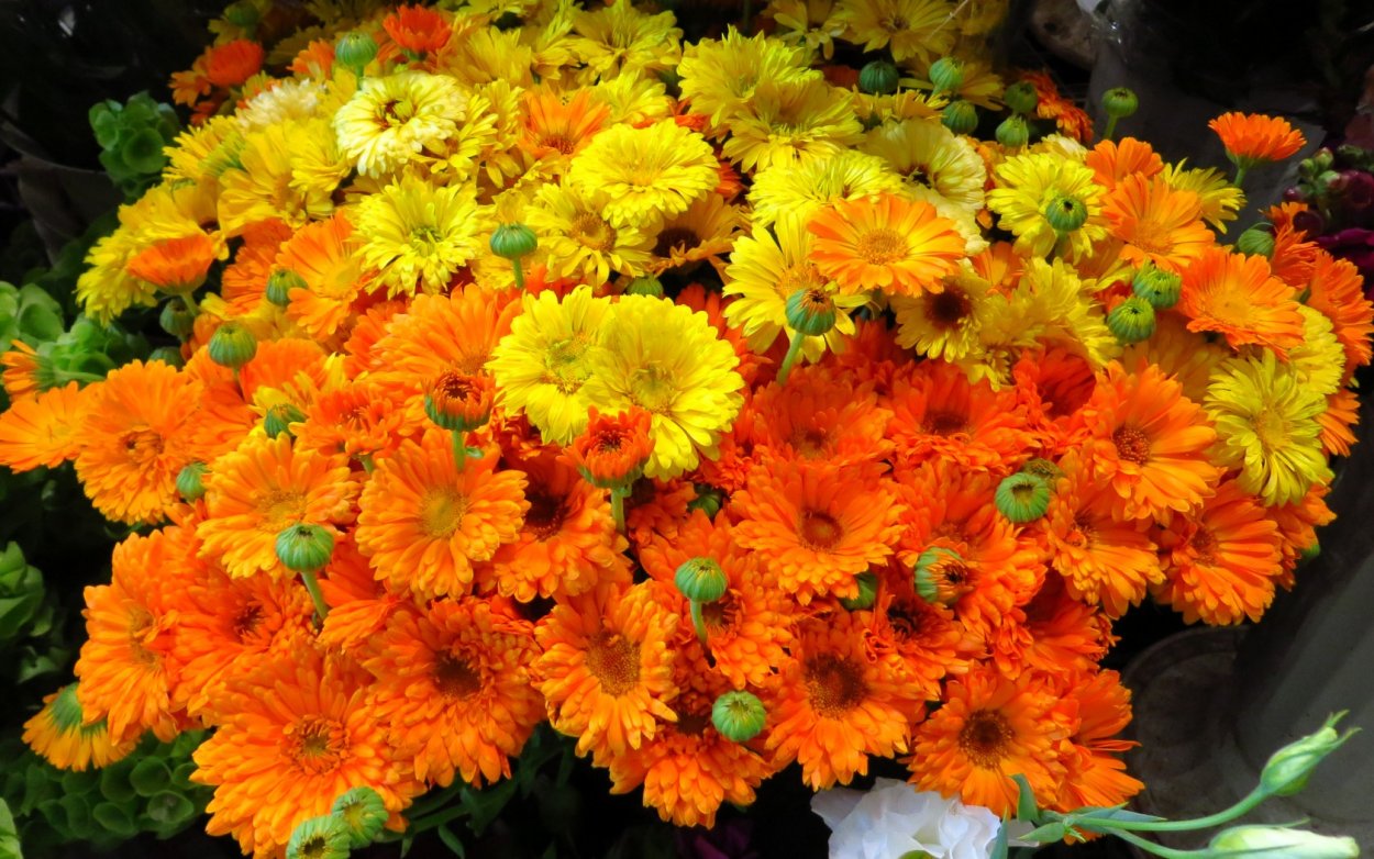 Осенний букет