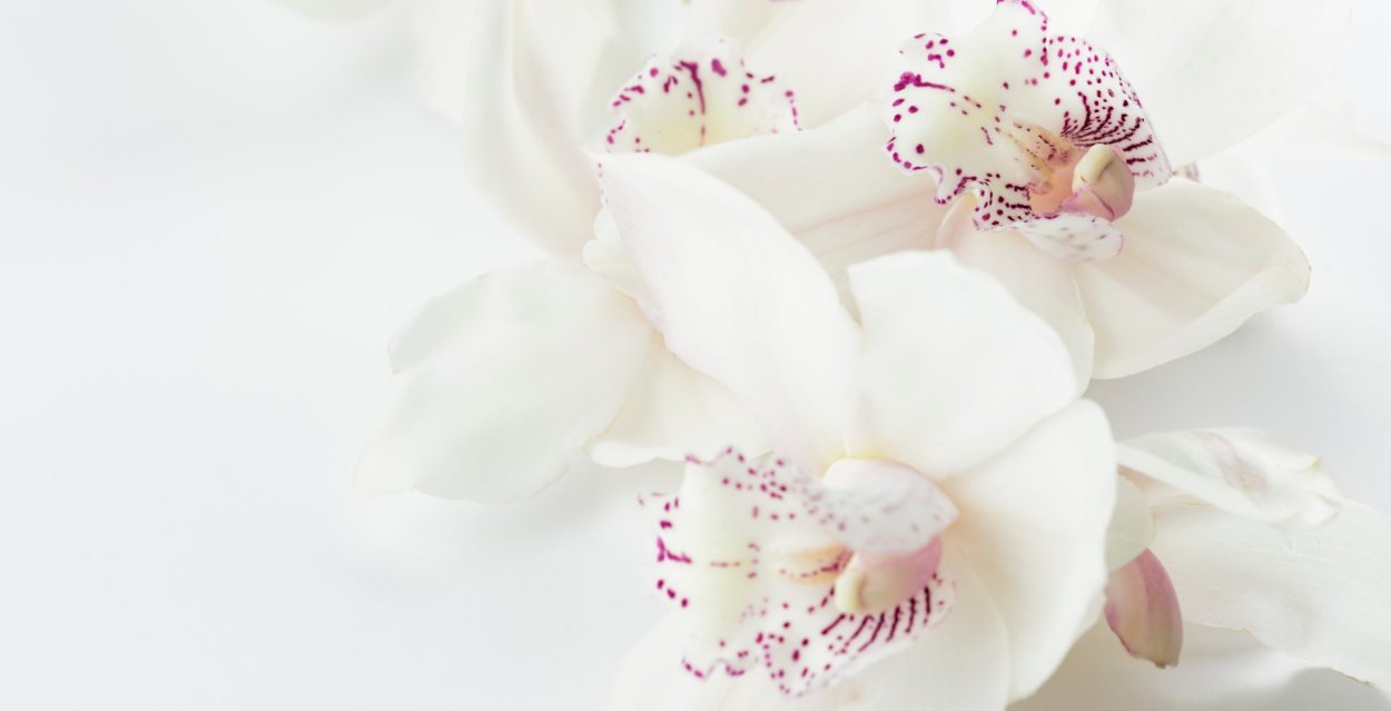 Креативные фоны для визитки массажиста