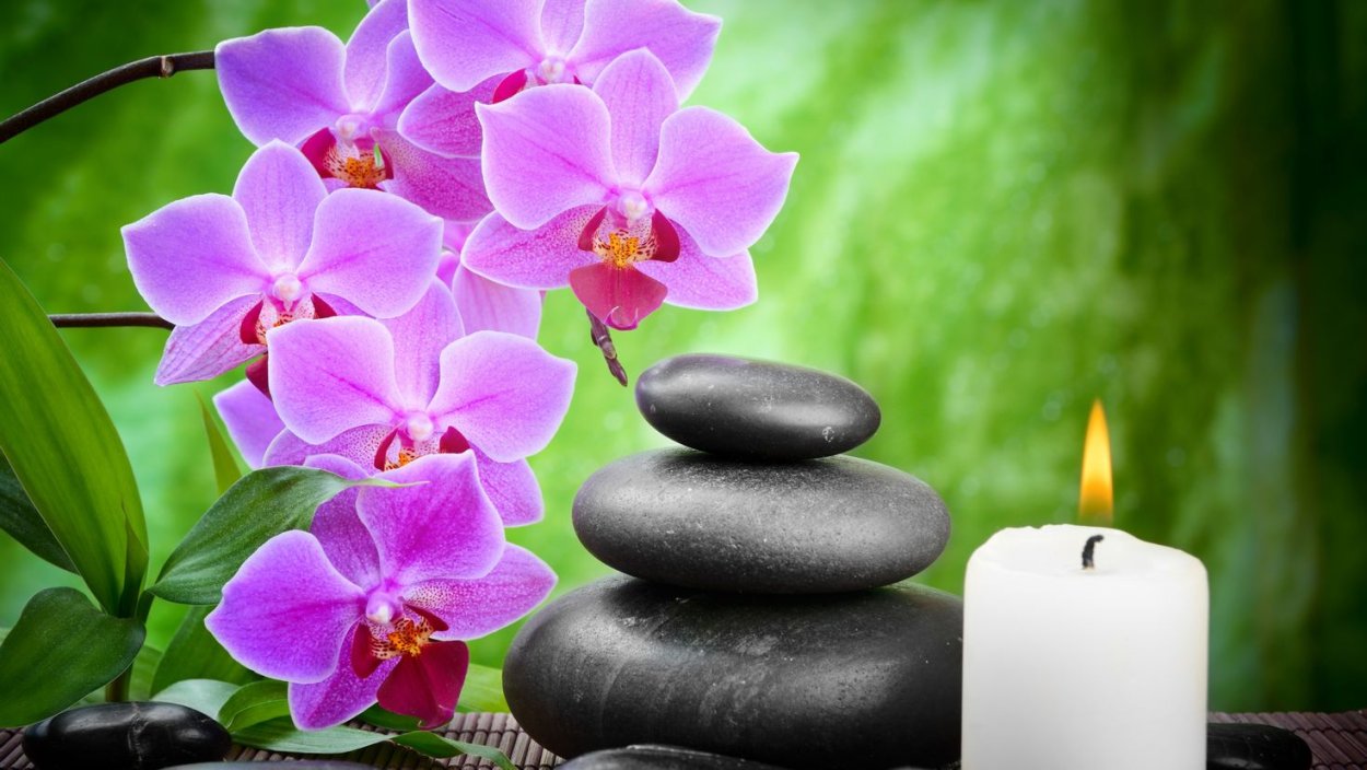 Орхидея на белом фоне