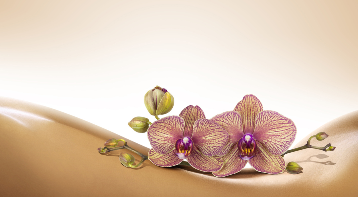 Сиреневые цветы