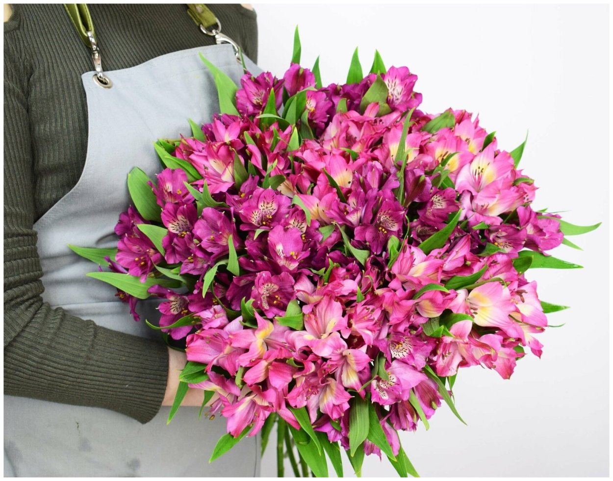 Альстромерия микс