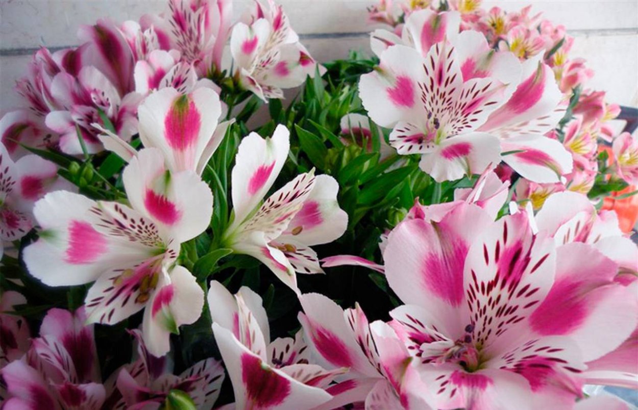 Инстаграмные букеты цветов