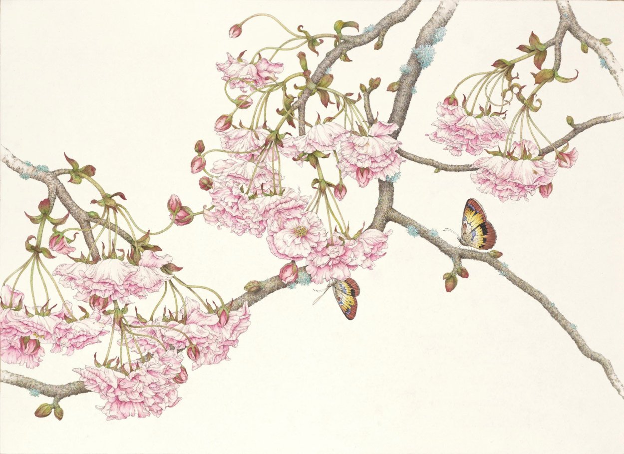 Традиционные китайские цветы