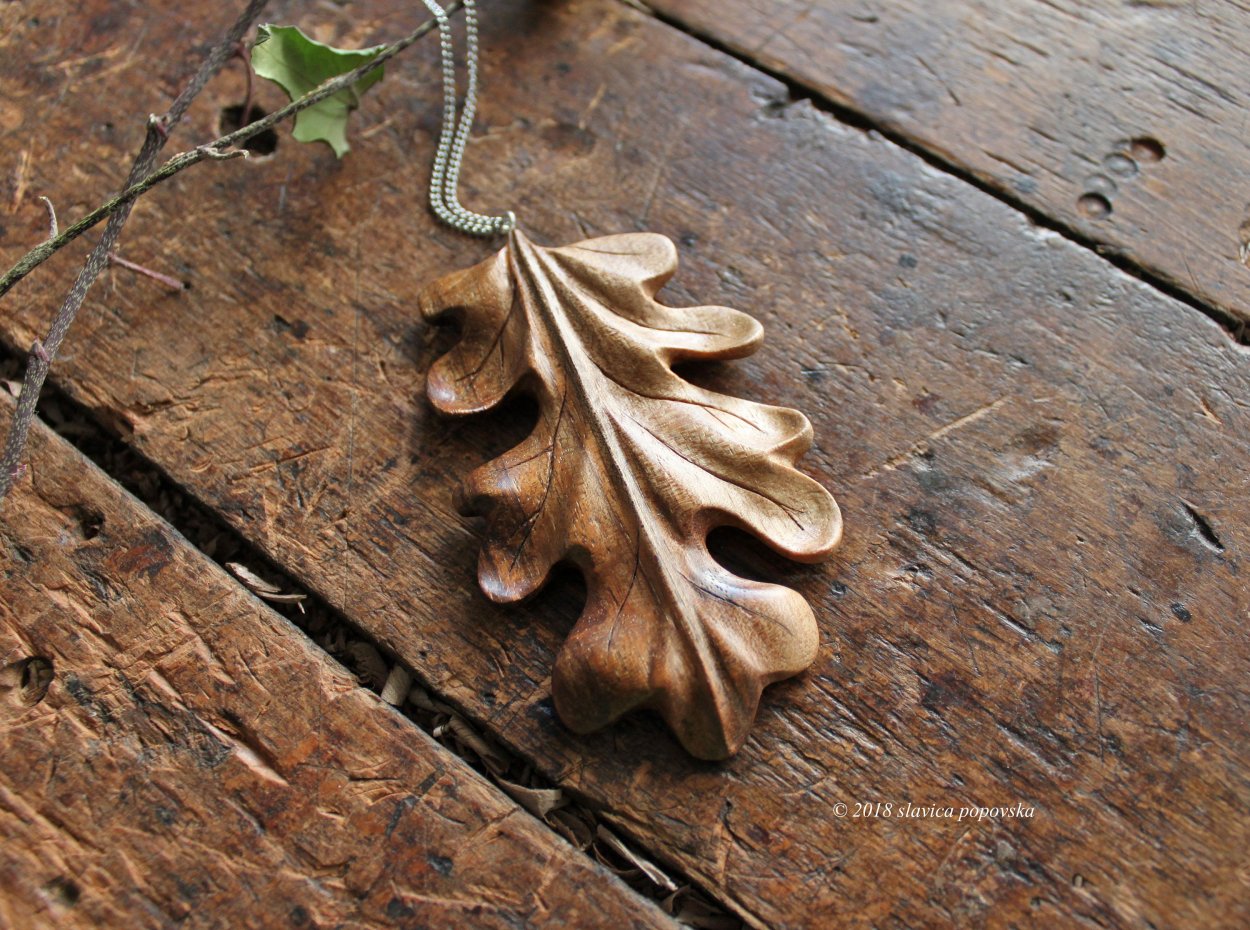 Тополь дрожащий (Populus tremula)